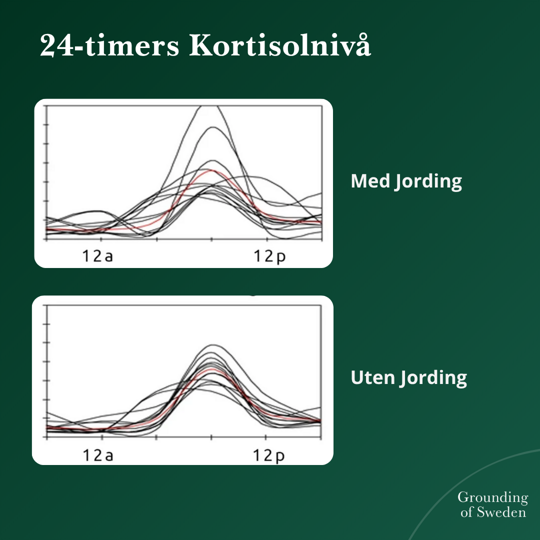 Føl Deg Best Hele Dagen Med Våre Allværs Jordingssko