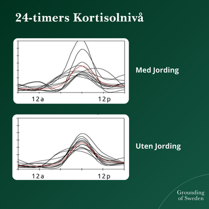 Føl Deg Best Hele Dagen Med Våre Allværs Jordingssko